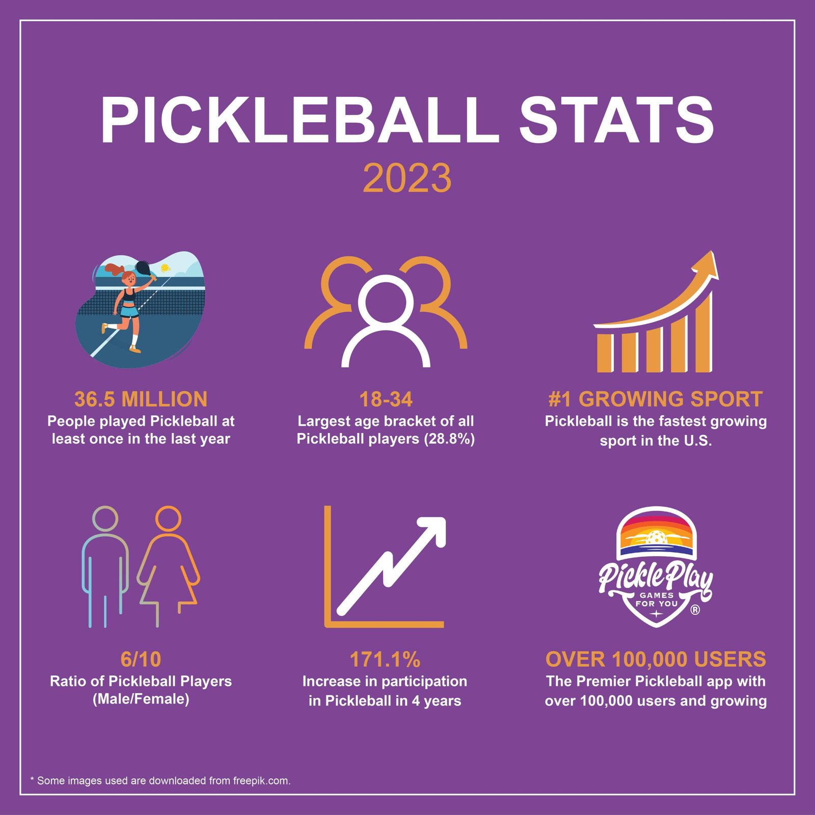 Understanding the Factors Behind Pickleballs Mainstream Appeal