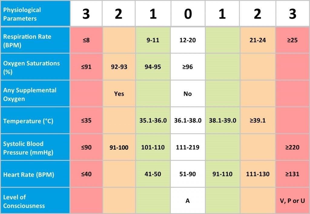 Delving into ​Scoring Systems and Game Formats