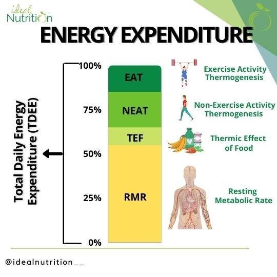 The Impact of​ Intensity ​and Skill⁢ Level on ​Caloric Expenditure